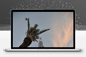 迪拜的建筑奇迹