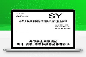 SY/T 10024-1998 井下安全阀系统的设计、安装、修理和操作的推荐作法