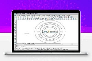 绘制CAD从动锥齿轮视频教程