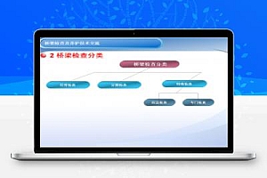 桥梁检查及养护技术交流全解 119P