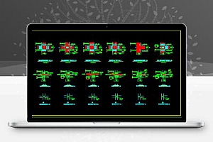 某庭院结构大样图