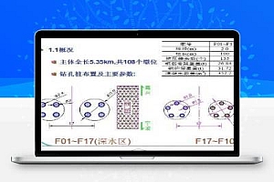 某浅层气富集区海上长大钻孔灌注桩施工技术 47P