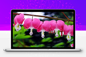 西南工程联盟之贺轩干货分享:房建市政常用CAD图库、工程量清单模板实例、标准化管理文件、测量仪器教程