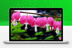 西南工程联盟转发-贺轩分享外墙内保温施工方案