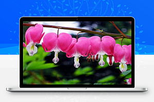 西南工程联盟贺轩分享免费干货:建筑施工手册大全第五版