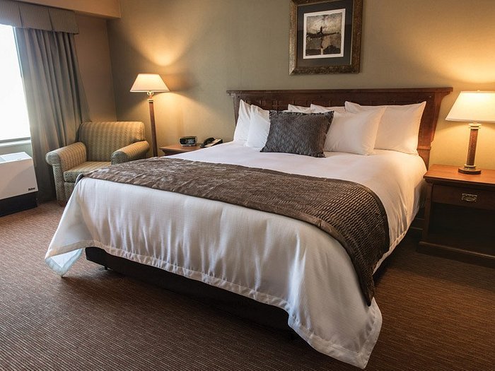 free spins on playboy